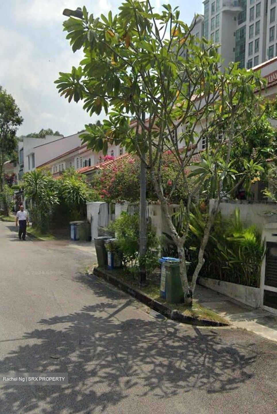 Hillview Villas (D23), Terrace #450303061